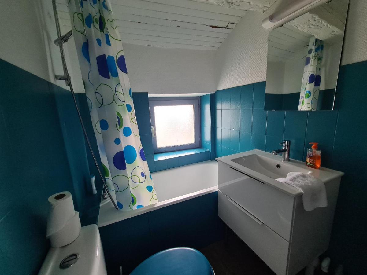 Апартаменты Les Cosy De Nancy - Le Duplex Aux Flammants Roses - 4Etoiles Экстерьер фото